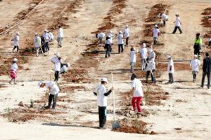 Gaziantep'te 25 bin 600 fidan t&ouml;renle dikildi