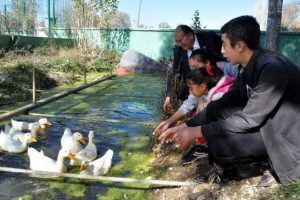 Bu okulda hayvan sevgisi şiddeti yendi