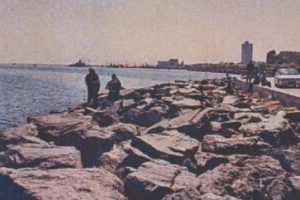 Kesik baş cinayeti 13 yıl sonra &ccedil;&ouml;z&uuml;ld&uuml;