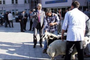Emniyet m&uuml;d&uuml;r&uuml;, polisler i&ccedil;in kurban kestirdi