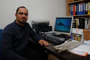 Bilim adamları 12 ay kum k&ouml;pek balıklarını izledi