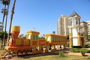 Mersin, Narenciye festivaline hazırlanıyor
