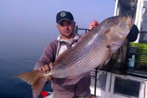 Oltaya 1 metre 30 santimlik sinarit takıldı
