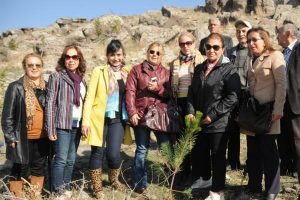 Kadınlar zeytin ağa&ccedil;larını kesenlere inat fidan dikti