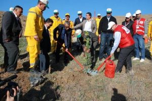 Kızılay Kahramanmaraş'ta 20 bin fidan dikti