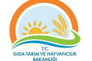 Bakanlıktan Reza Zarrab yalanlaması