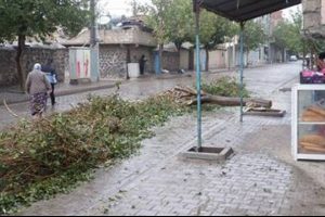 Ağa&ccedil; kesen esnafa bin lira ceza