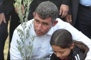 Metin Feyzioğlu zeytin ağacı dikti