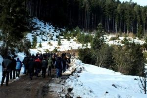 Bilirkişi, 'Ya Artvin ya maden' dedi
