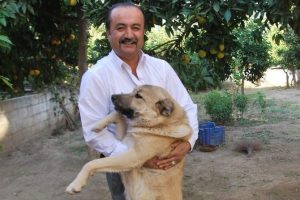 &Ccedil;ift cinsiyetli k&ouml;peğine Ariel Sharon ismini verdi