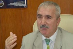 'Sıcak havalar hamsiyi olumsuz etkiliyor'