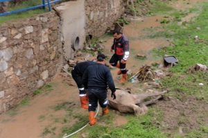 Derede mahsur kalan atı itfaiyeciler kurtardı