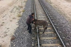 Raylara bağlayıp &ouml;l&uuml;me terk ettiler!