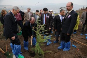 Bursa'da kanser hastalarının bir dikili ağacı oldu