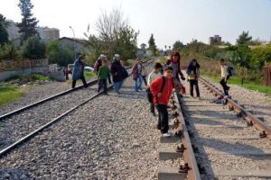 Miniklerin tehlikeli yolculuğu