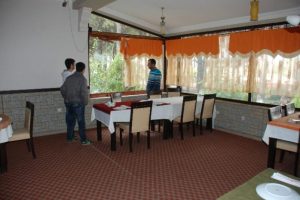 Alemci hırsızlar restoran soydu