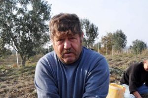 Yırca'da ağa&ccedil;ları kesilen zeytinci yaşamını yitirdi