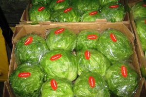 Rusya 32 ton marulu geri g&ouml;nderdi