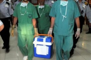 Yiğit'in organları, &uuml;&ccedil; &ccedil;ocuğa hayat verdi
