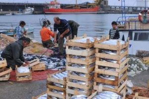 Balık fiyatları yarı yarıya d&uuml;şt&uuml;