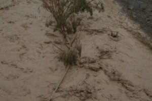 Meteorolojiden 5 il i&ccedil;in sel uyarısı