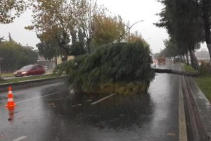 Sağanak yağmur, r&uuml;zgarla birleşince...