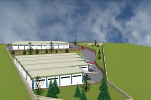 Bursa'da zeytine tesis geliyor
