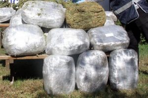 Uyuşturucu t&uuml;ccarlarına b&uuml;y&uuml;k darbe