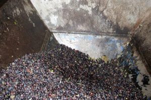 Zeytin yağı fiyatları u&ccedil;tu