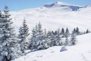 Uludağ, 15 Aralık'ı bekliyor