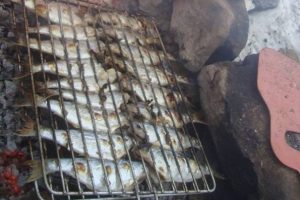 Kar &uuml;st&uuml;nde balık keyfi