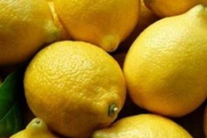 Limon fiyatında şok d&uuml;ş&uuml;ş