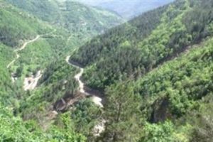 '&Ccedil;ED' zorunluluğu aranmayacak