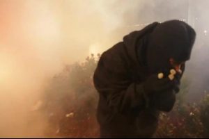 ABD'de polise orantısız g&uuml;&ccedil; eleştirisi!
