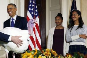 Obama hindileri affettiObama hindileri affetti