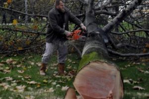 &Ccedil;evreciler kesilmelerine engel olamadı
