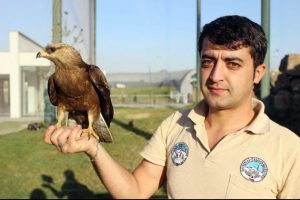 Şahin ile bakıcısının kıskandıran dostluğu
