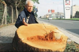 Bir ses duydunuz mu?