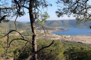 Akkuyu N&uuml;kleer Santrai'ne onay
