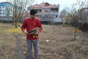 U&ccedil;masın diye kanatları kestiler