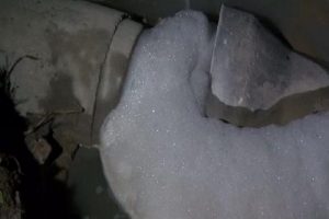 Validebağ Korosu'nda k&ouml;p&uuml;k endişesi