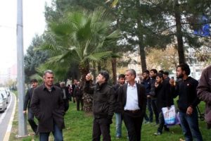Koyun can kasap et peşinde
