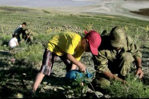 Mehmet&ccedil;ik'ten ağa&ccedil;landırma i&ccedil;in 'kamu spotu'