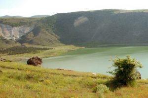 50 Ton balık &ouml;ld&uuml; yetkililer sorunu bulamadı