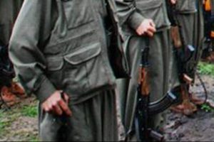 ABD komitesinde PKK tartışması