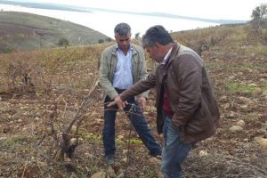 &Ccedil;ift&ccedil;ilere g&uuml;breleme ve sulama anlatıldı