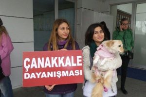 Zehirli yiyecekler hayvan severleri isyan ettirdi