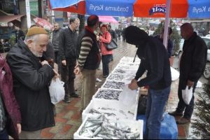 Hamsinin kilosu 2,5 liraya d&uuml;şt&uuml;
