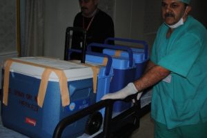 5 hastaya umut oldu