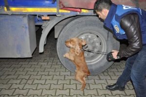 120 bin paket ka&ccedil;ak sigara &ccedil;ıktı